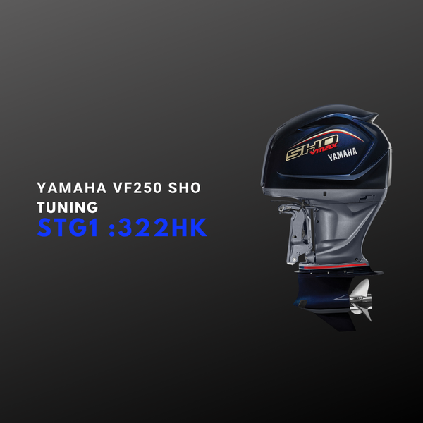 Yamaha VF250 SHO 4.2L Tuning